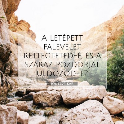 Jób 13:25 KAR Bibliai verskép