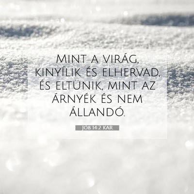 Jób 14:2 Bibliai vers magyarázata