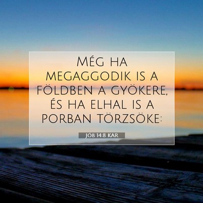Jób 14:8 Bibliai vers magyarázata