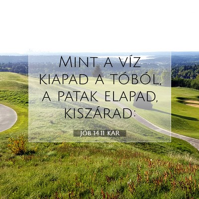 Jób 14:11 Bibliai vers magyarázata
