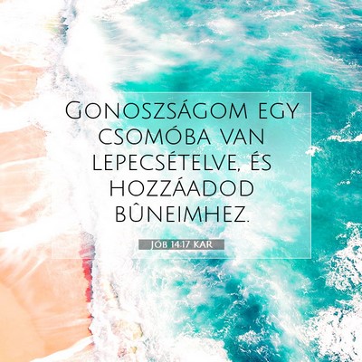 Jób 14:17 Bibliai vers magyarázata