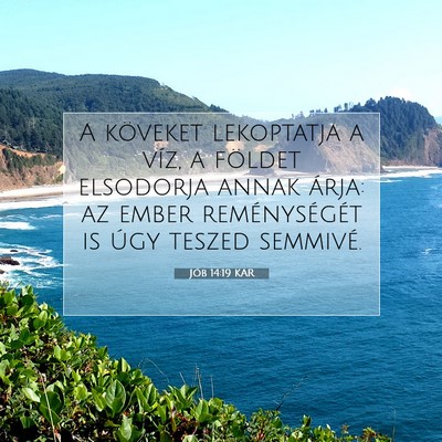 Jób 14:19 Bibliai vers magyarázata