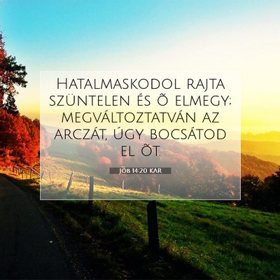 Jób 14:20 Bibliai vers magyarázata