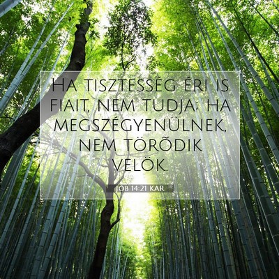 Jób 14:21 Bibliai vers magyarázata