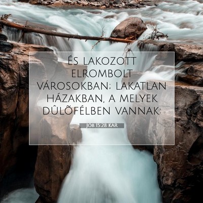 Jób 15:28 KAR Bibliai verskép