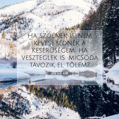 Jób 16:6 KAR Bibliai verskép