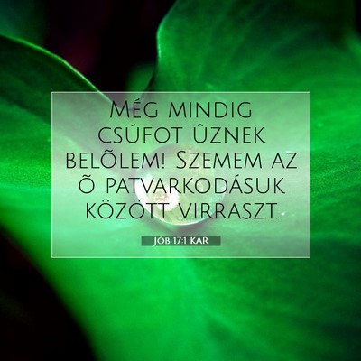 Jób 17:1 KAR Bibliai verskép