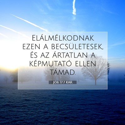 Jób 17:7 KAR Bibliai verskép
