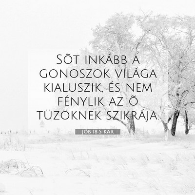 Jób 18:5 Bibliai vers magyarázata