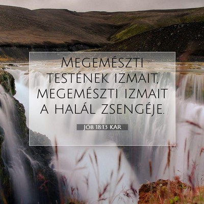 Jób 18:13 Bibliai vers magyarázata
