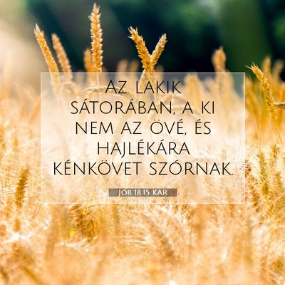 Jób 18:15 Bibliai vers magyarázata