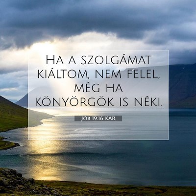 Jób 19:16 KAR Bibliai verskép