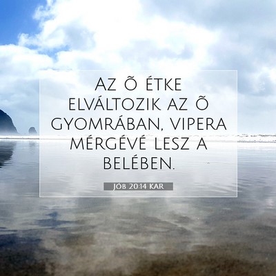 Jób 20:14 KAR Bibliai verskép