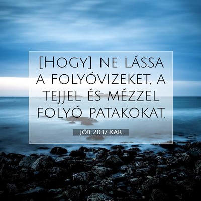 Jób 20:17 KAR Bibliai verskép