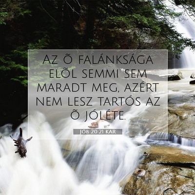 Jób 20:21 Bibliai vers magyarázata