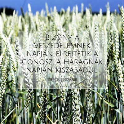 Jób 21:30 KAR Bibliai verskép