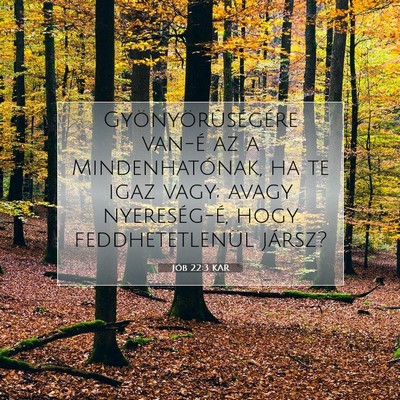 Jób 22:3 KAR Bibliai verskép