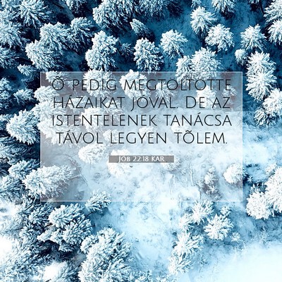 Jób 22:18 KAR Bibliai verskép