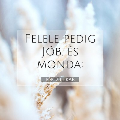 Jób 23:1 Bibliai vers magyarázata