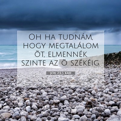 Jób 23:3 KAR Bibliai verskép