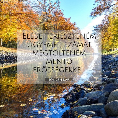 Jób 23:4 KAR Bibliai verskép