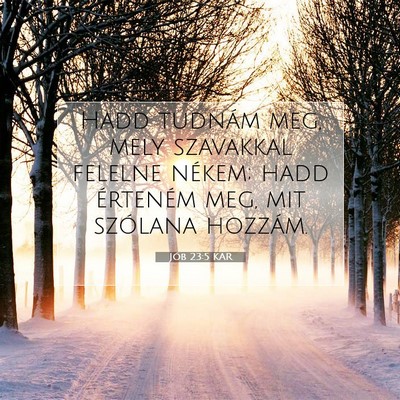 Jób 23:5 KAR Bibliai verskép