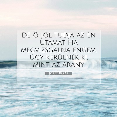 Jób 23:10 KAR Bibliai verskép