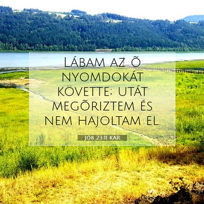 Jób 23:11 KAR Bibliai verskép