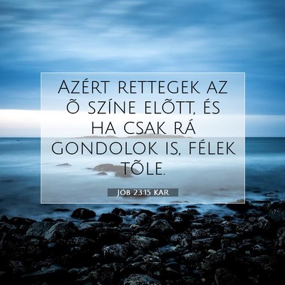 Jób 23:15 KAR Bibliai verskép