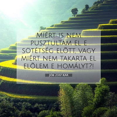 Jób 23:17 KAR Bibliai verskép