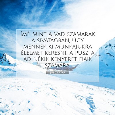 Jób 24:5 KAR Bibliai verskép