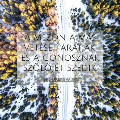 Jób 24:6 KAR Bibliai verskép