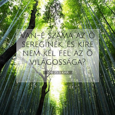 Jób 25:3 Bibliai vers magyarázata