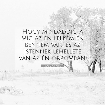 Jób 27:3 KAR Bibliai verskép