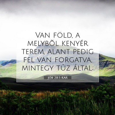 Jób 28:5 KAR Bibliai verskép