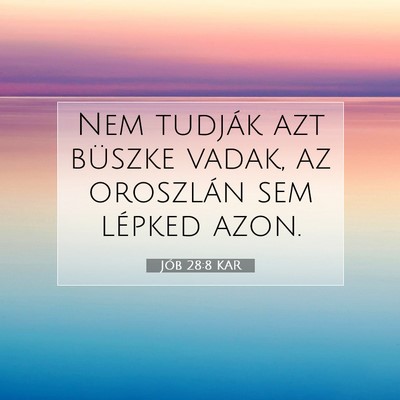 Jób 28:8 Bibliai vers magyarázata