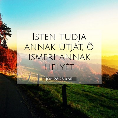 Jób 28:23 Bibliai vers magyarázata