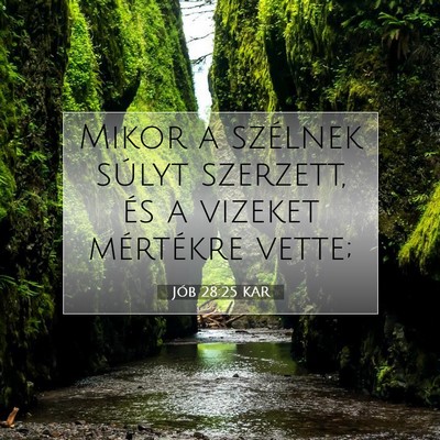 Jób 28:25 Bibliai vers magyarázata