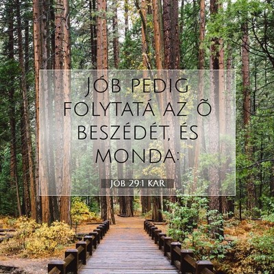 Jób 29:1 Bibliai vers magyarázata