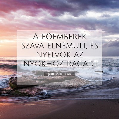 Jób 29:10 Bibliai vers magyarázata