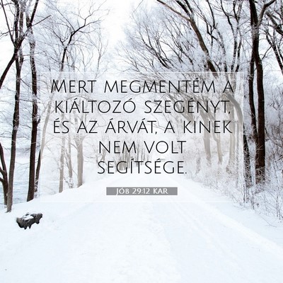 Jób 29:12 KAR Bibliai verskép