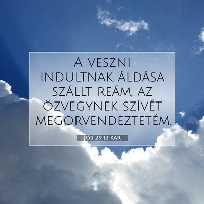 Jób 29:13 Bibliai vers magyarázata