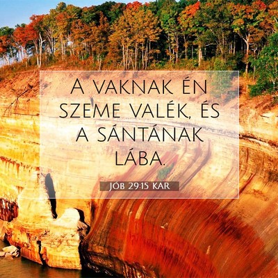 Jób 29:15 Bibliai vers magyarázata