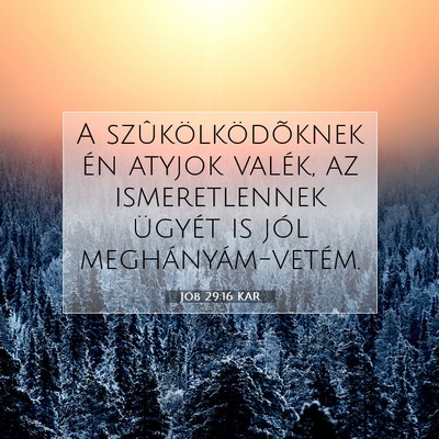 Jób 29:16 Bibliai vers magyarázata
