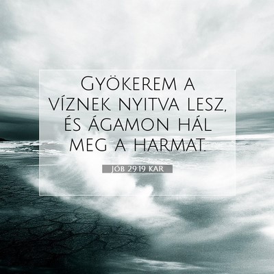 Jób 29:19 Bibliai vers magyarázata