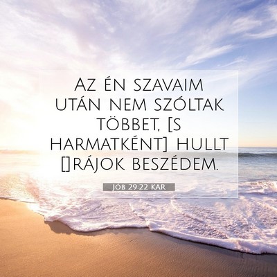 Jób 29:22 Bibliai vers magyarázata