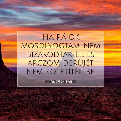 Jób 29:24 Bibliai vers magyarázata