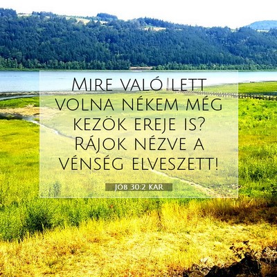 Jób 30:2 Bibliai vers magyarázata