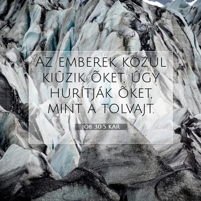 Jób 30:5 Bibliai vers magyarázata