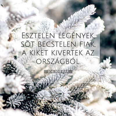Jób 30:8 Bibliai vers magyarázata